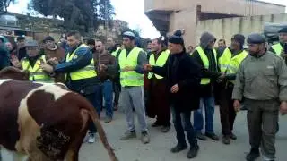 Tassaft ougmoune timechret 2017