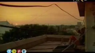 VAMA VECHE - The Kite (Zmeul) [Love Sick Soundtrack]