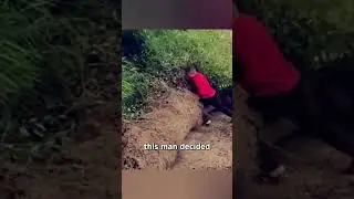 Man Clears Overgrown Weeds, Restoring Road Safety