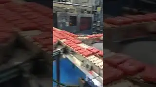 Manufacturing || Lifebuoy || HUL