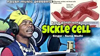 Sickle Cell | studio version video | malkangiri koya gondi video