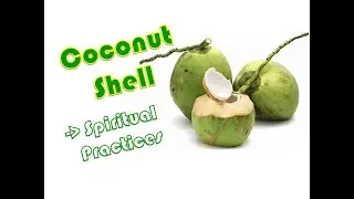 Coconut Shell