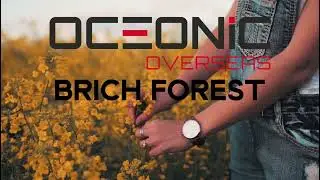 Brich Forest Collection 600 x 1200 mm #tiles #ceramic #export #exporter #manufacturer #manufacturing