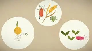 Soildiveragro official video Finnish