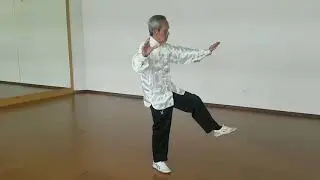Cheng Taiji 37-Performed by Master Huang Ping Knar-S'pore Oct 2017