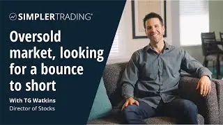 Oversold market, looking for a bounce to short | Profit Pilot