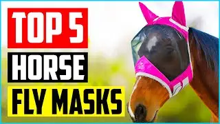 Top 5 Best Horse Fly Masks in 2022 Reviews