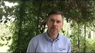 Future Focus: What are Labs?