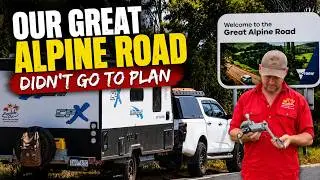 Our Road Trip Didn&rsquo;t Go to Plan | Great Alpine Road High Country Victoria With a Caravan