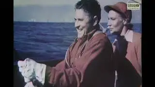 1960s OUTDOOR TV CLASSIC | GIANT SWORDFISH & MARLIN BATTLES + MOUNTAIN LION HUNT HUNT