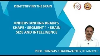 Understanding Brain&rsquo;s Shape-Segment 1-Brain size and intelligence