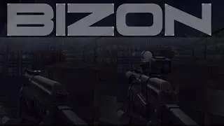 Contract Wars: Bizon W-Task