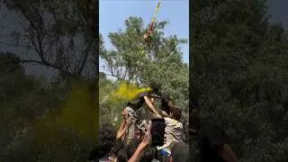 Holi celebration 2024 in University #virulshorts #youtubeshorts #sindhistudents