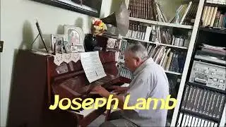 Patricia Rag - Joseph Francis Lamb