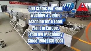 500 Trays Per Hour Washing & Drying Machine | CE Certified Industrial Tray Washer | HW Machinery