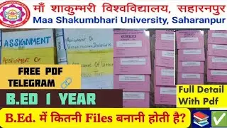 BEd 🔥 1st Years Practical Files  || How to Make BEd files || कैसे बनाये B.ed की फाइल्स