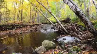 Fall Colors Hike at MacIntosh Brook. Cape Breton Highlands National Park