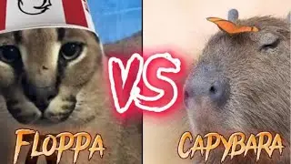 Capybara vs floppa #batle #capybara #floppa #viral #fyp #animals #foryou #trending #popular #top 