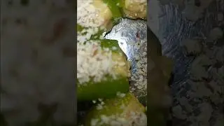 viral Mithai #trending #recipe #subscribe #youtube #channel #cooking #shorts#sweet #food #easyrecipe