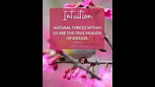 Intuition | Law of Attraction Bookclub  #alignedaction #motivation #manifestingriches