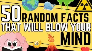 50 Mind-Blowing Random Facts That Will Astonish You (Part 4)