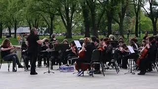 Plymouth High Schools Combined Orchestra Performs Take 5 - DC Trip 2023