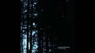 newspaperflyhunting -  No Real Feelings (single, 2026)
