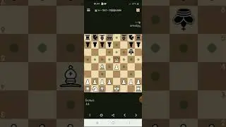 шахматы/сильный дебют и 100% мат/ chess - strong start😳