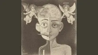 distorted world