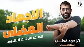 شرح الاجهاد العضلي للصف الثالث الثانوي | احياء الثانوية العامة
