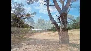 De Kampina ( de witte bergen)en het smalwater 