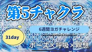 31日目: ヨガチャレンジ(ポーズ&times;呼吸&times;瞑想)