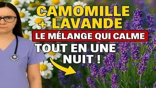 Camomille + Lavande : Le Calmant Naturel Qui Agit en 10 Minutes !