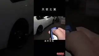 Car Angel Wings Wing Light  General model  No lossless installation  You can get it yourself