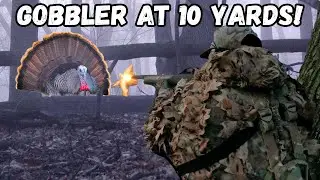 ТУМАННОЕ УТРО. ОХОТА НА ИНДЕЙКУ!!