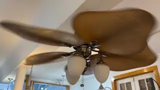 Harbor Breeze Baja Ceiling Fans in a Glass Shop