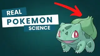 The Real Biology Of Grass Pokemon: Gen 1