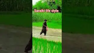 # saraiki life