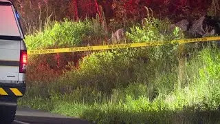 Early morning crash on Route 924 in Hazle Township