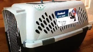 Dog Crate; Wire vs Plastic