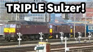 TRIPLE SULZER Power! Duff & Cromptons Head ECS plus SCREAMING Grid, 57003 & a BUSY Zippy at Work!