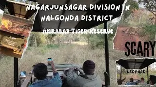 Nallammala hills Amrabad Tiger Reserve Forest safari 4.30 safari 🐅 💯 👀
