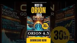 Live Trading with Orion Gold EA &ndash; $804.98 Profit in Forex! #trading #currencytrading  #forex