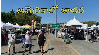 Exploring The Vibrant Fremont Art And Wine Festival 2023 || #usateluguvlog