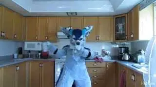 Goofing off in Fursuit