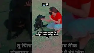 #savedogs #dog #delhincr #supremecourtofindia #savehumanity