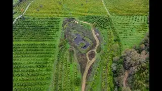 Finca Jelanisoli - Image Video