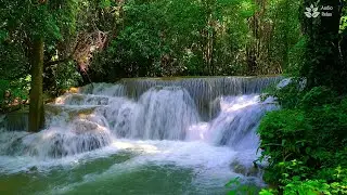 Tranquility Awaits: 10 Hours of Turquoise Waterfall in Jungle Ambience and Calming White Noise