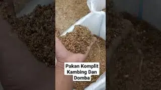 Pakan Komplete Feed Kambing Dan Domba