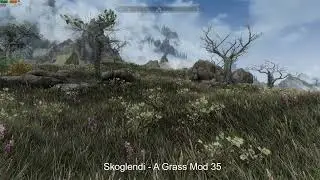 Skyrim grass mods comparison - Reach
